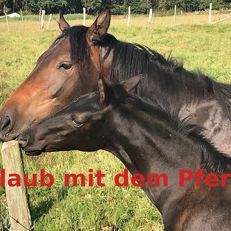 Hardtmuehle Momberg公寓 外观 照片