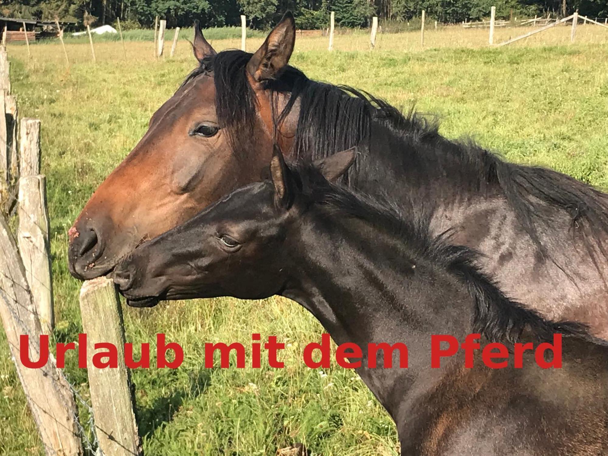Hardtmuehle Momberg公寓 外观 照片